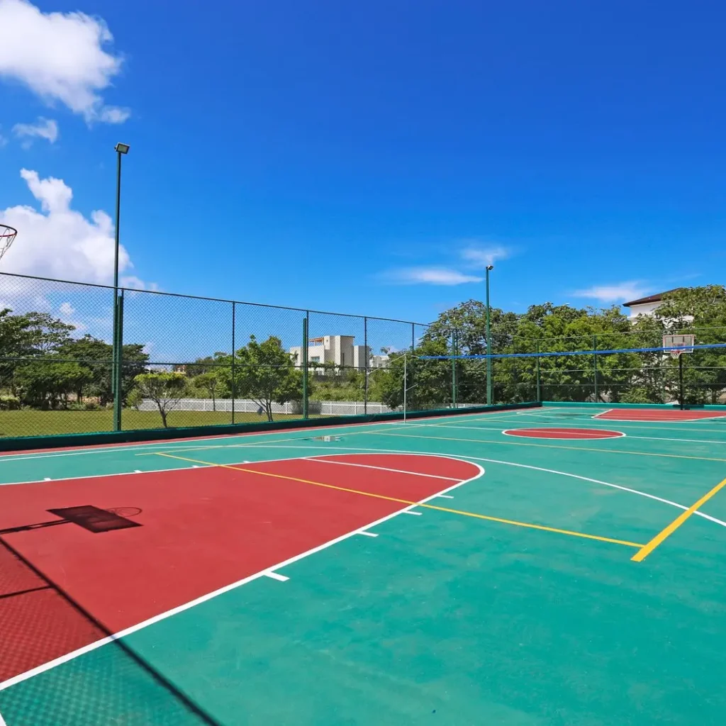 Basketball