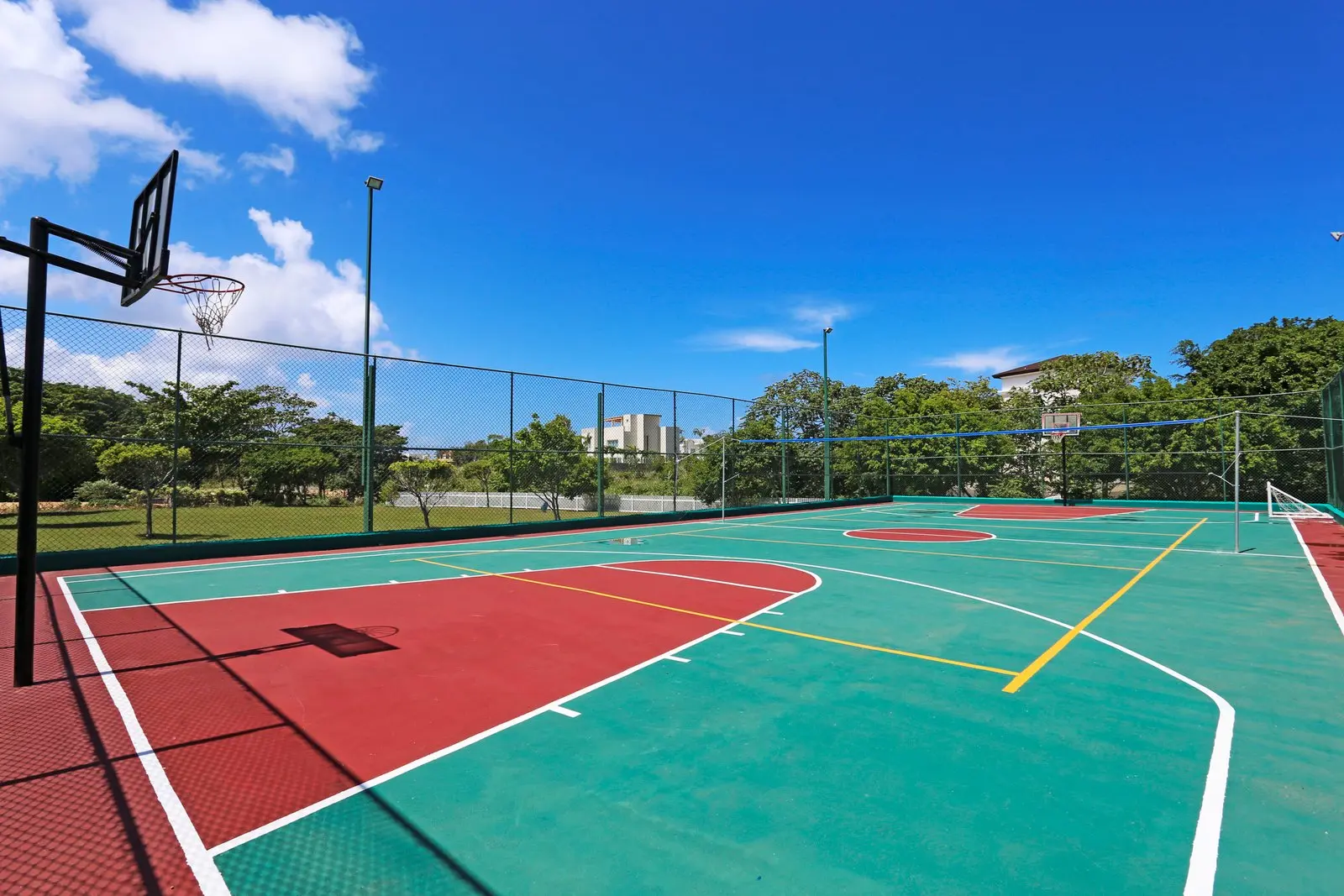 Basketball