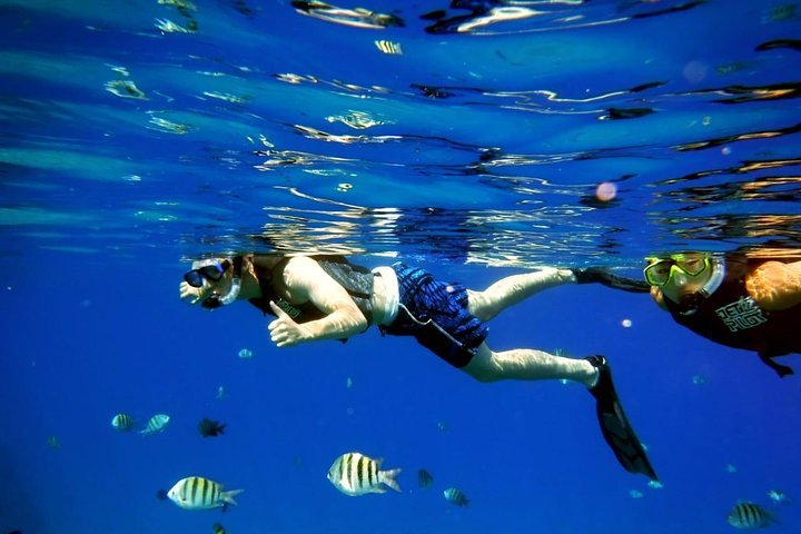 Shared 2 hours Sosúa Bay Snorkeling with Professional Guide